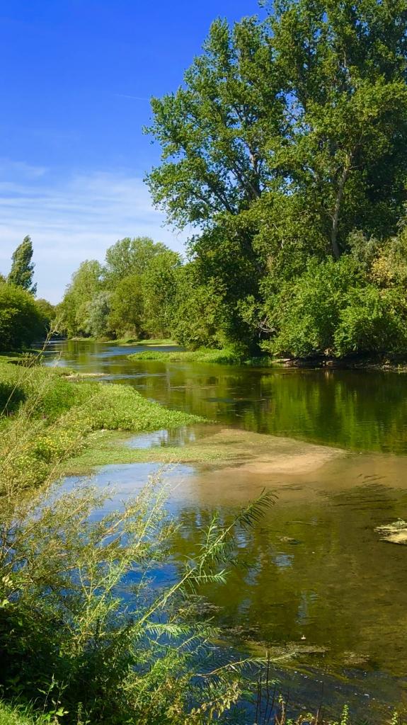 Écrivains de la Loire